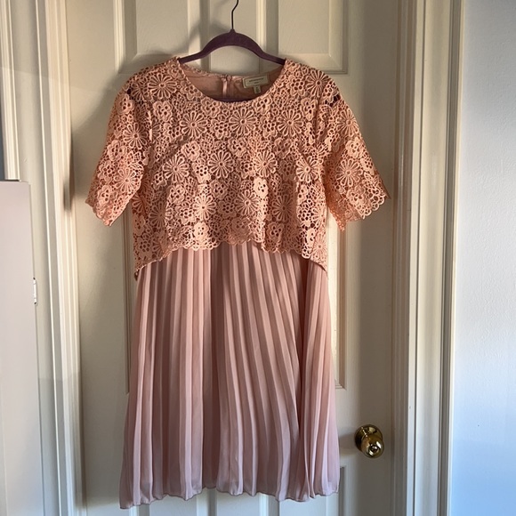 NWT Moulinette Soeurs Anthropologie Adanne Blush Lace Pleat Dress - Picture 5 of 7